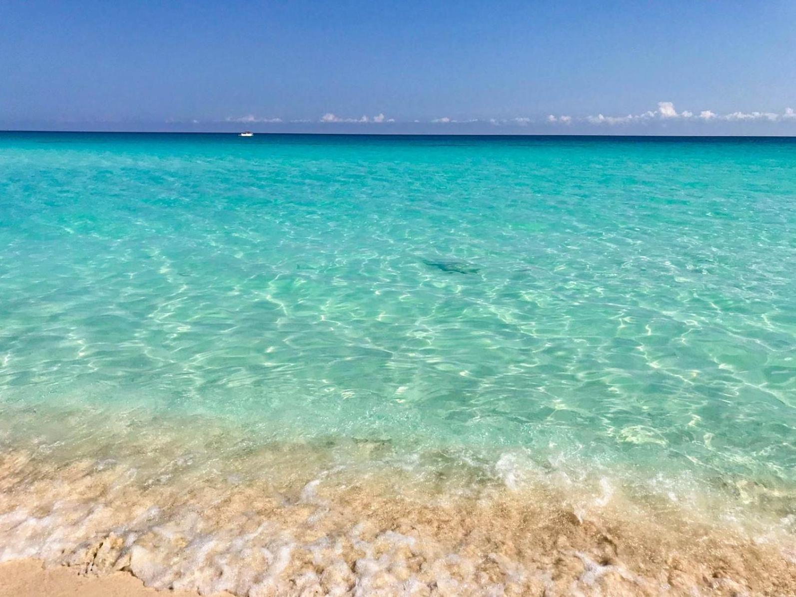 Seashore Apartment Cancun Dış mekan fotoğraf